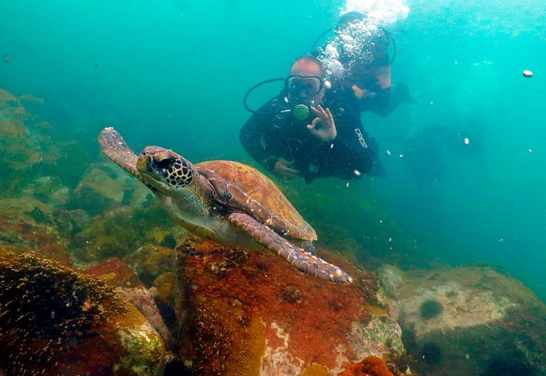 Buceo y snorkel